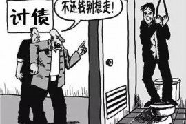 迎江专业讨债公司有哪些核心服务？